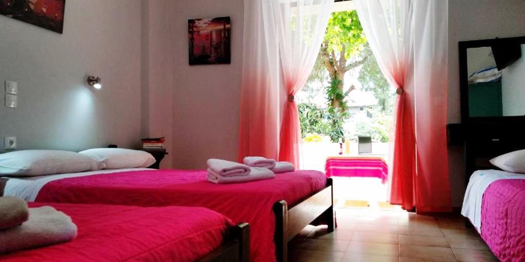 Kuris Studios & Apartments Vasilikí Eksteriør billede