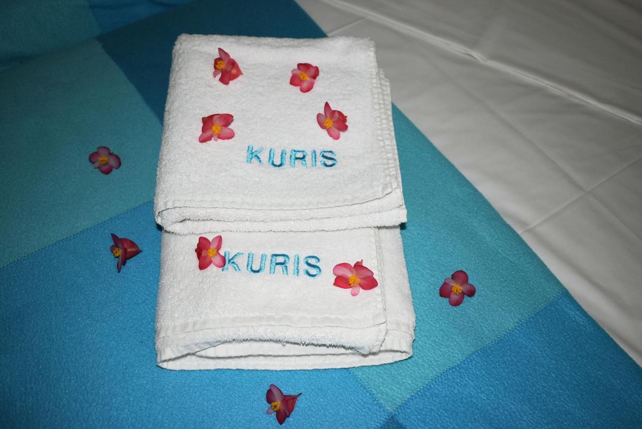 Kuris Studios & Apartments Vasilikí Eksteriør billede